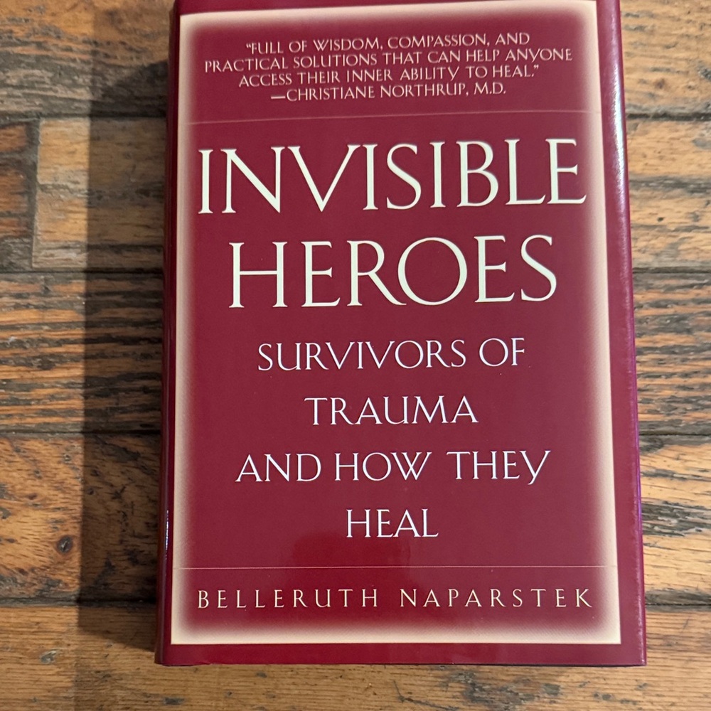 Invisible Heroes Book